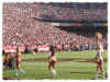 Seahawks 49ers game, 11-20-05 - 27.jpg (206469 bytes)